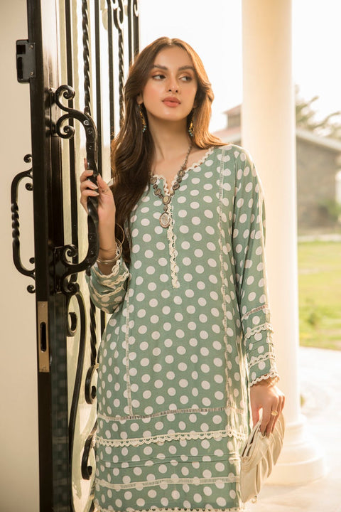 Winter Linen 2 Pcs Ready to Wear Dress by Sakeena Hasan 12