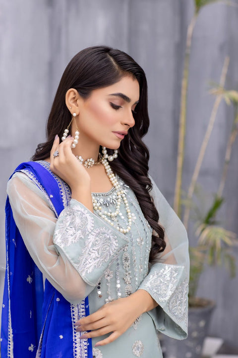 Formal Organza Ready to Wear Embroidered Collection by Zara Manan 04
