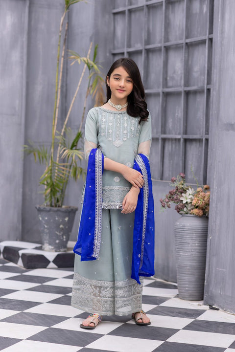 Kids Formal Organza Ready to Wear Embroidered Collection by Zara Manan 04